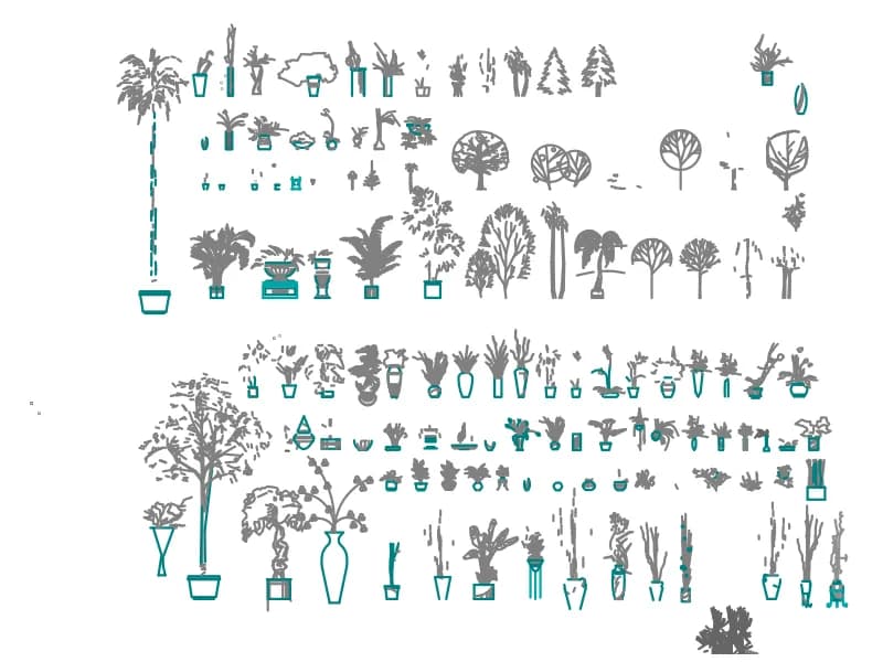 Sheet of indoor potted plants in elevation: palms, ferns, bonsai, orchids and vases
