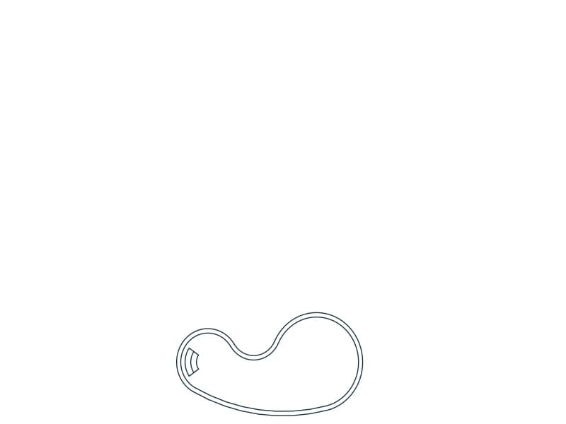 كتلة CAD مسبح كلوي — معاينة رسم خطي لملف DWG