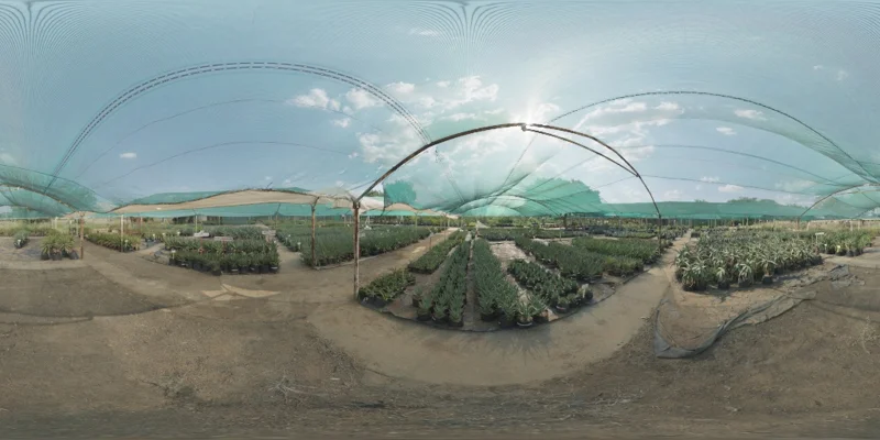 Aloe Farm Shade House