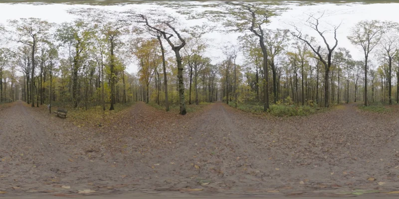 Autumn Crossing