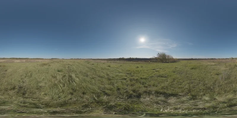 Autumn Field