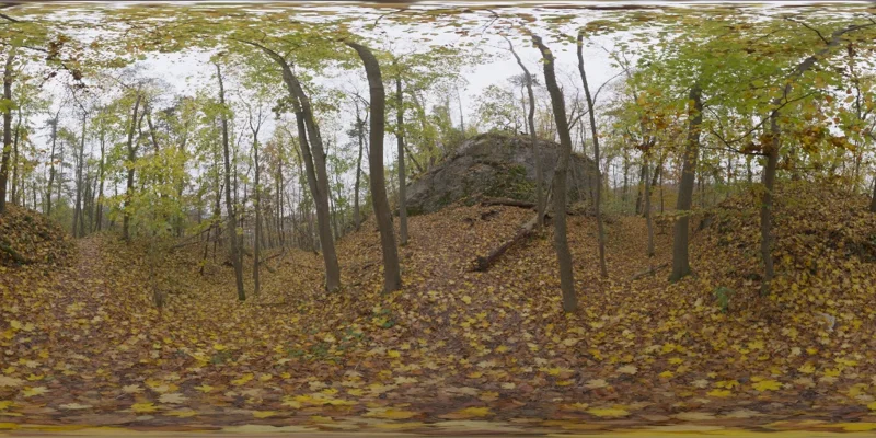 Autumn Forest 01