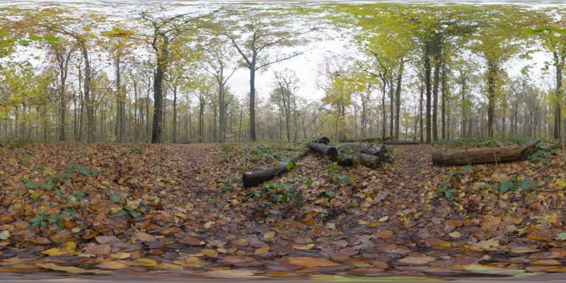 Autumn Ground