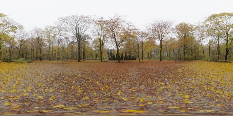 Autumn Hockey