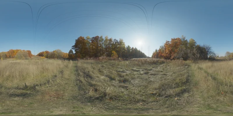 Autumn Meadow