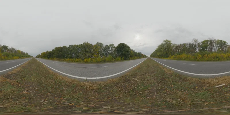 Autumn Road