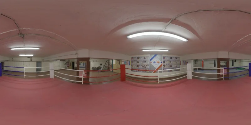 Basement Boxing Ring