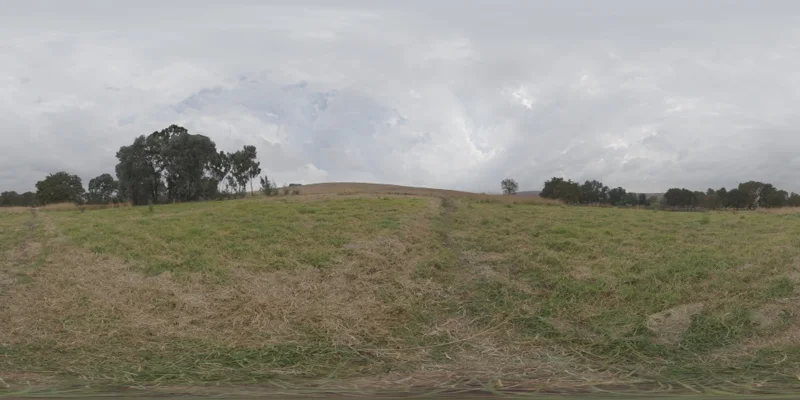 Belfast Open Field