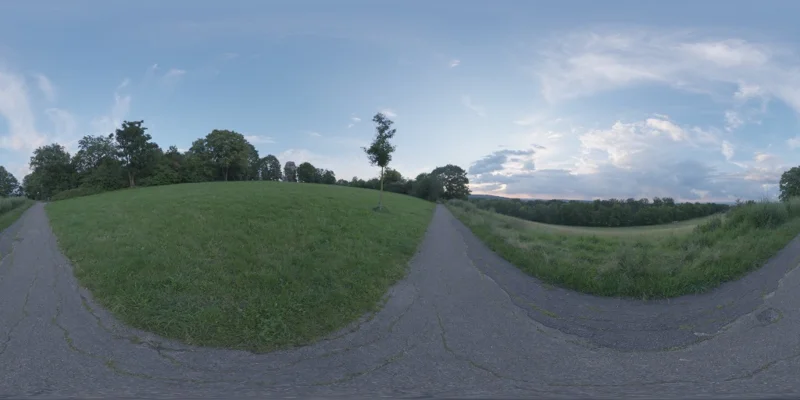 Bismarckturm Hillside