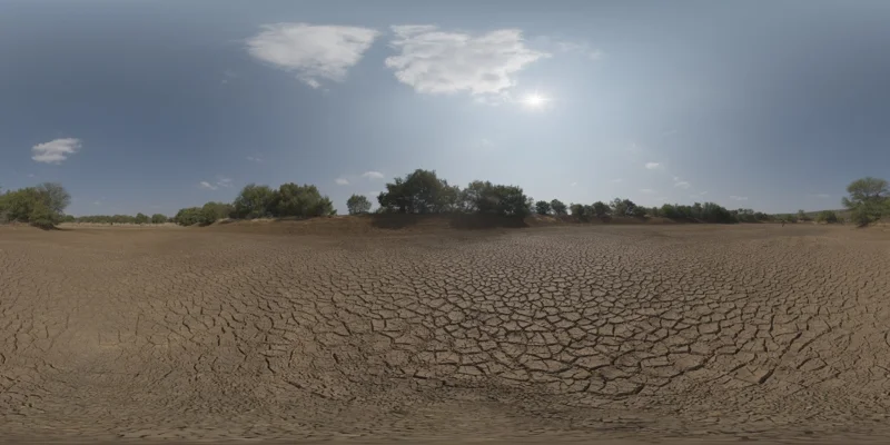 Dry Cracked Lake