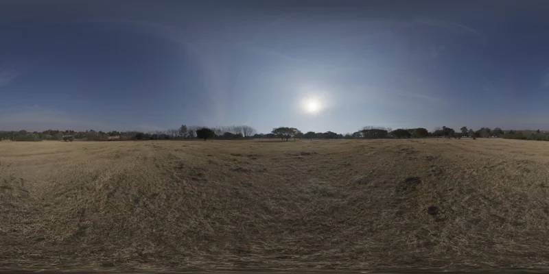Dry Field