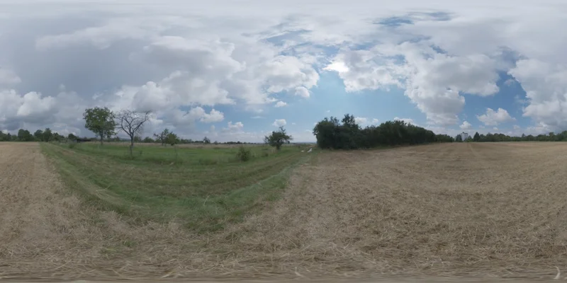 Dry Hay Field