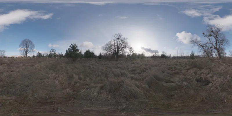 Dry Meadow