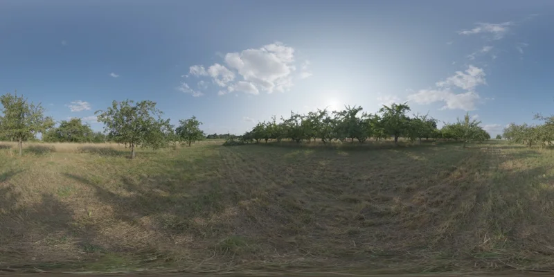 Dry Orchard Meadow