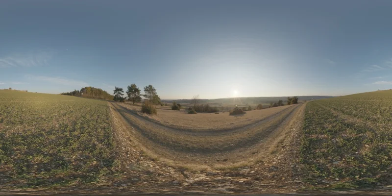 Ehingen Hillside