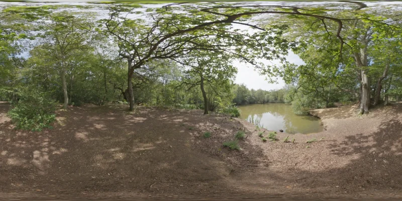 Epping Forest 01