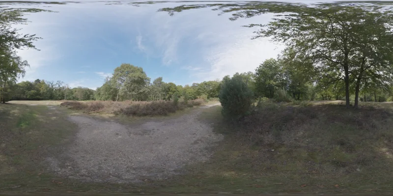 Epping Forest 02