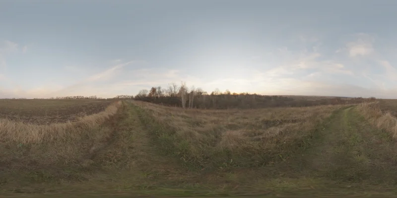 Evening Field