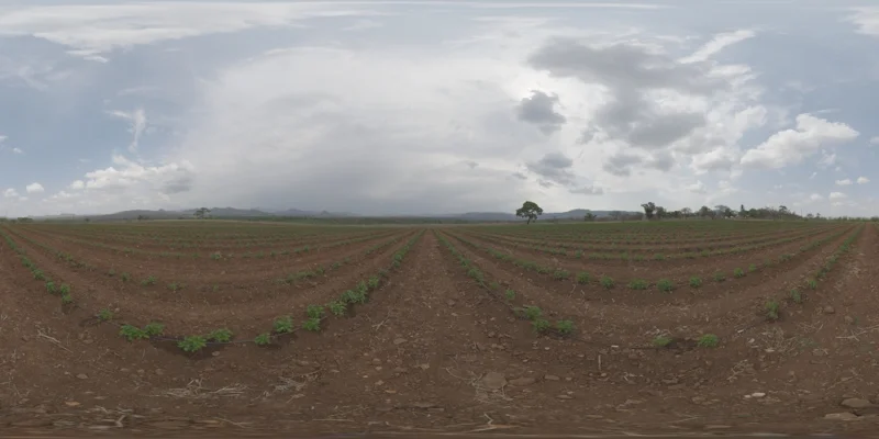 Farm Field