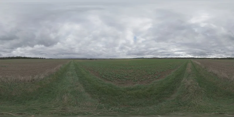 Farmland Overcast