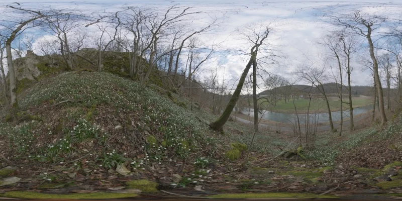 Flower Hillside