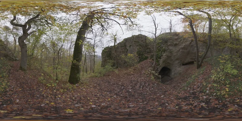 Forest Cave