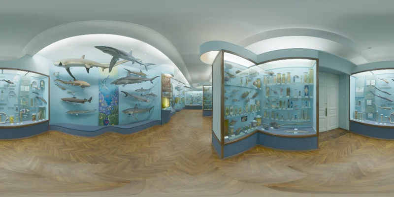 Hall of Finfish