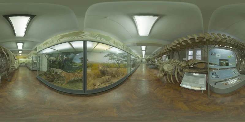 Hall of Mammals