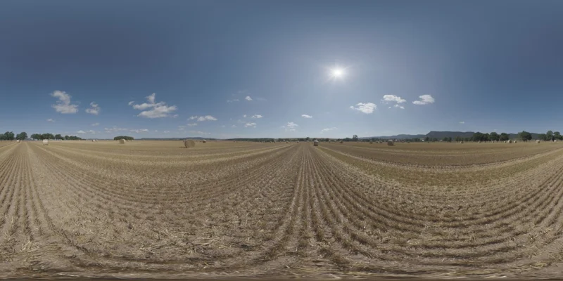 Hay Bales