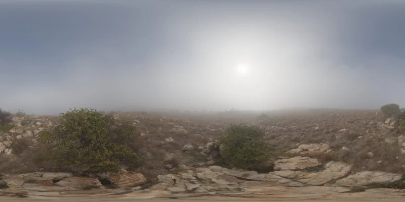 Kloofendal 28d Misty