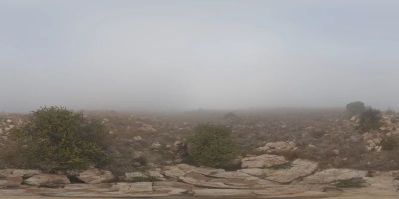 Kloofendal Misty Morning