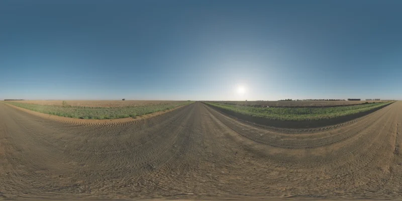 Lonely Road Afternoon