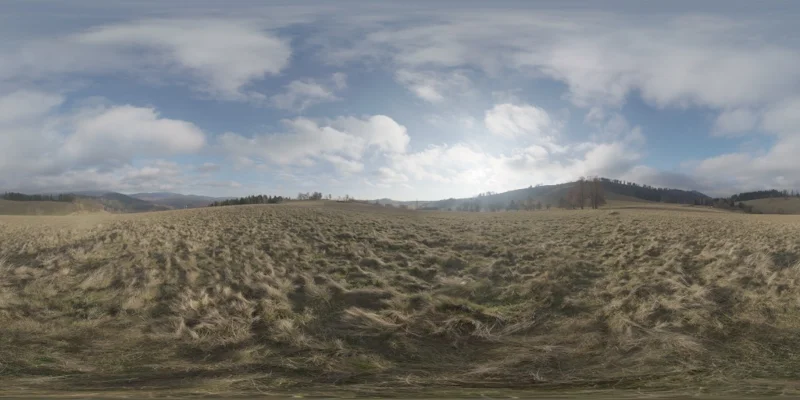 Ludwikowice Farmland