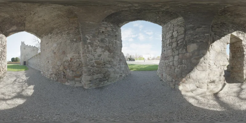 Monkstown Castle