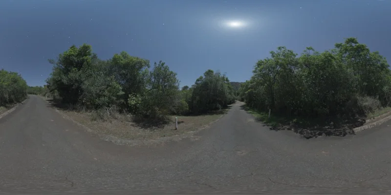 Narrow Moonlit Road