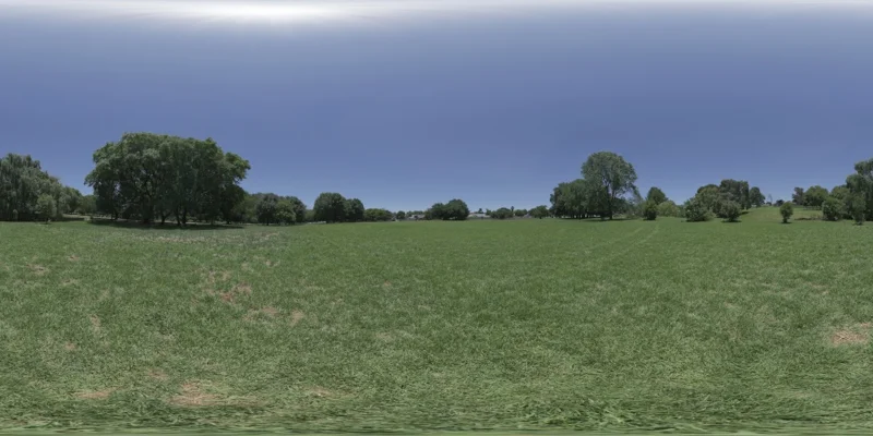 Noon Grass