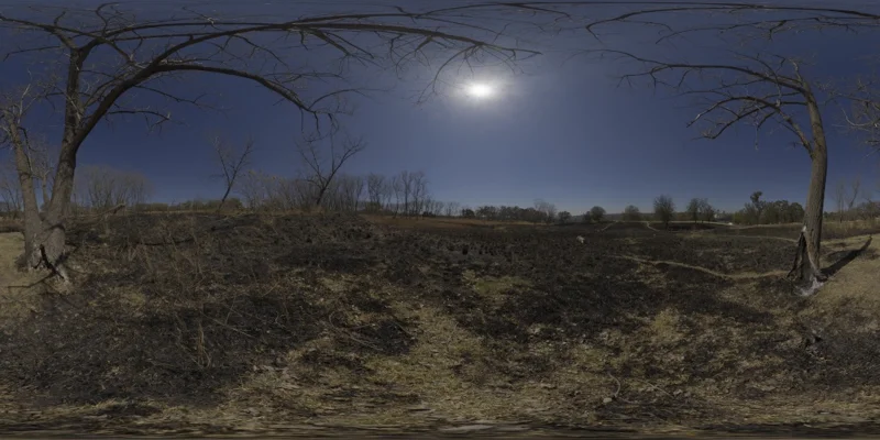 Partial Eclipse