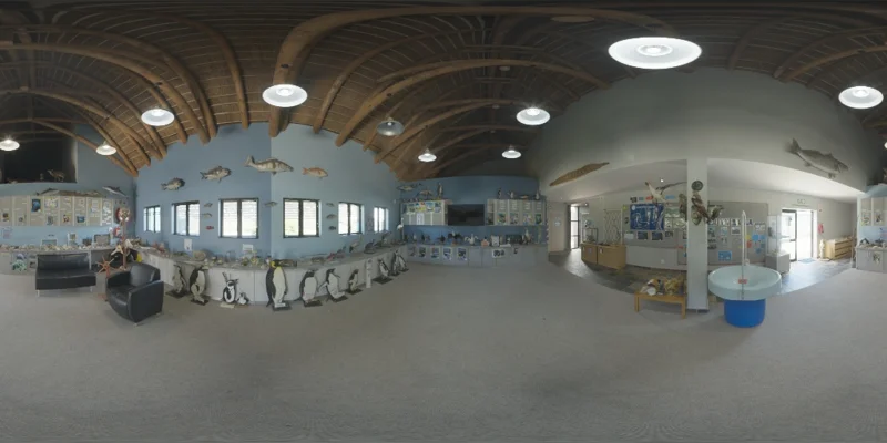 Penguin Museum