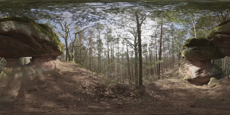 Pfälzer Forest 01