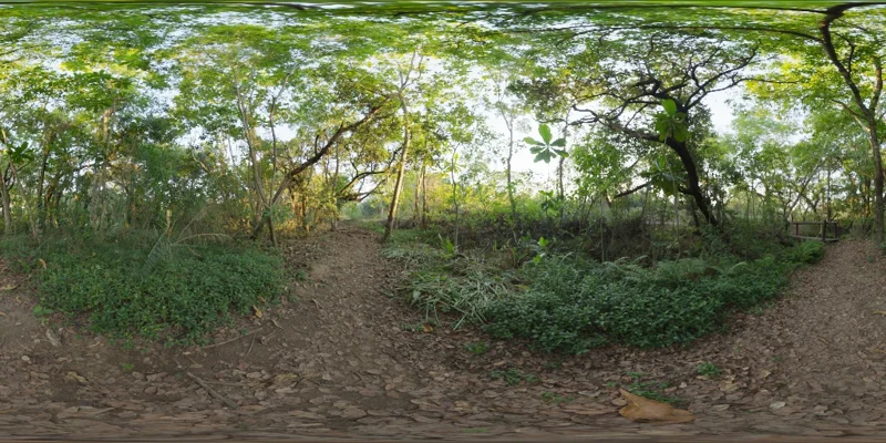River Walk 1