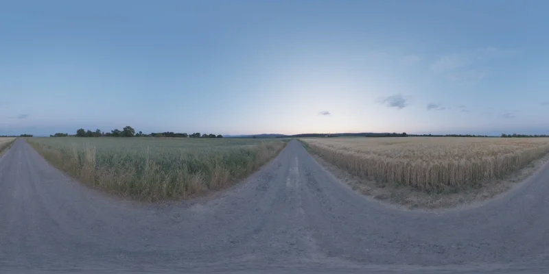 Rural Evening Road