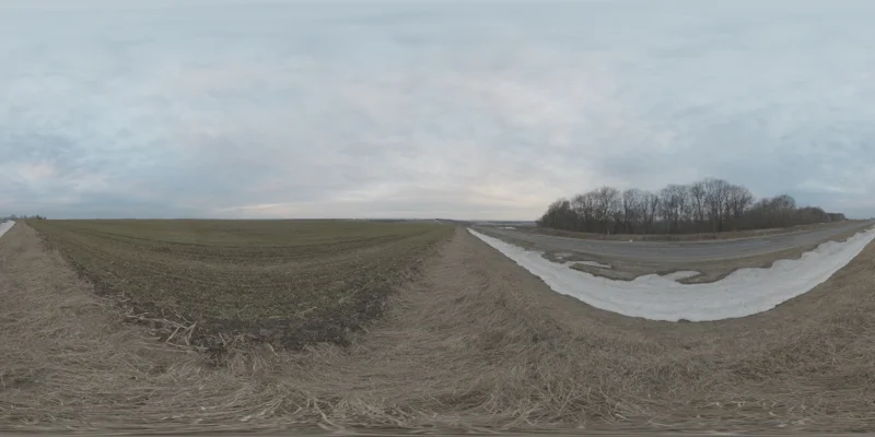 Rural Winter Roadside