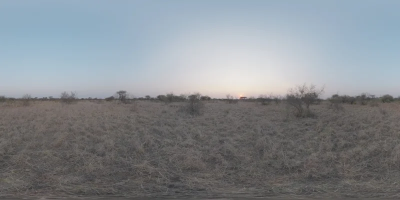 Safari Sunset