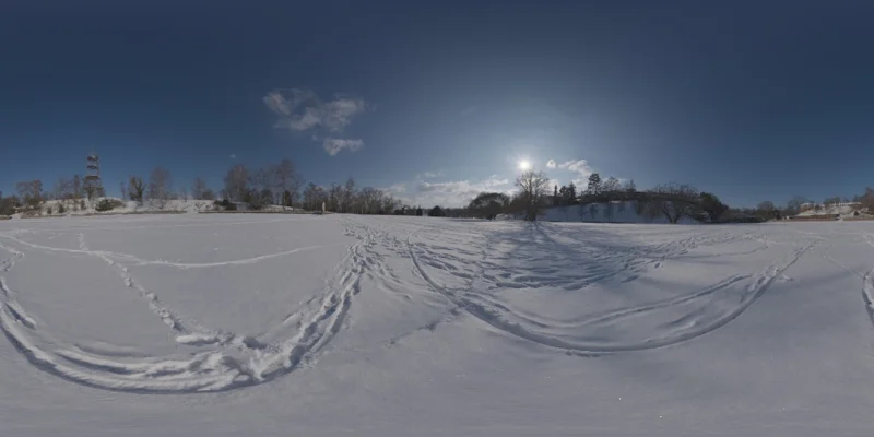 Snowy Field