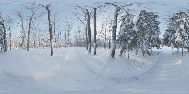 Snowy Forest Path 01