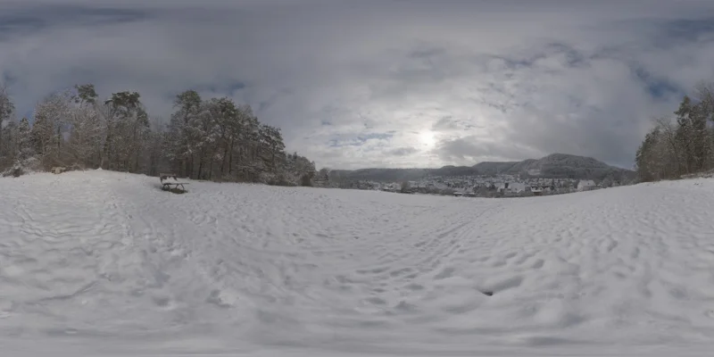Snowy Hillside