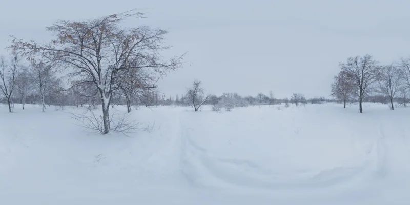 Snowy Park 01
