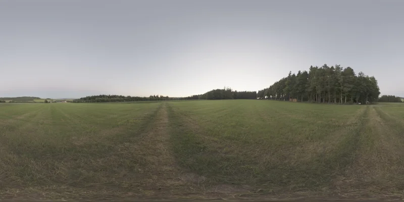 Steinbach Field