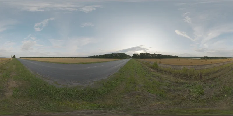 Straw Rolls Field 01