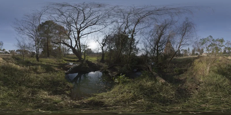 Stream